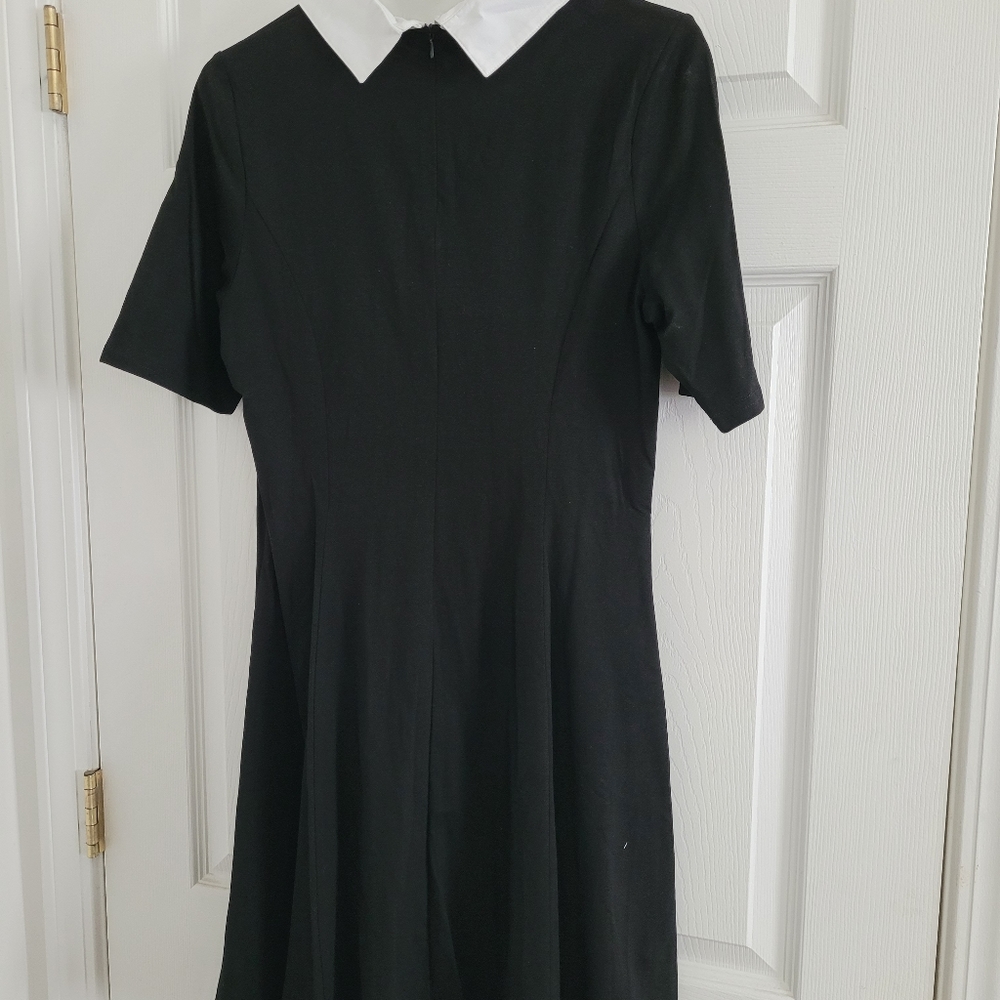Collared Dress - Picture 2 of 2